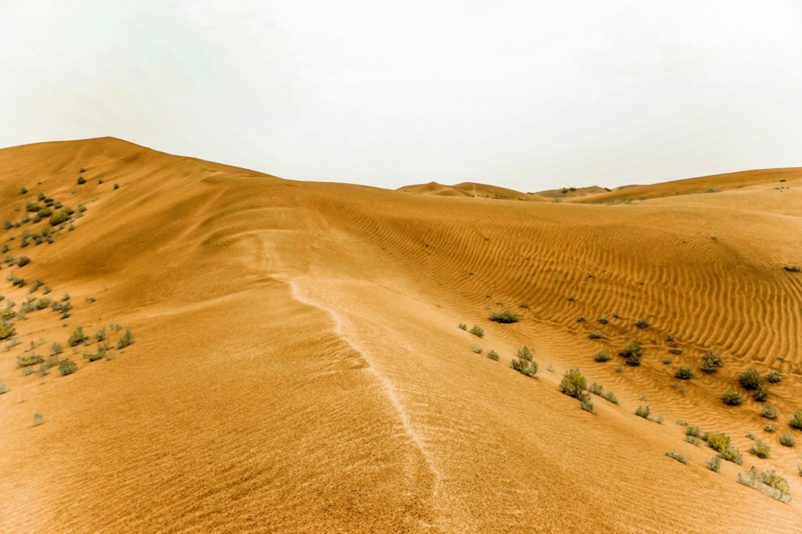 Módulos de producto y finanzas del programa